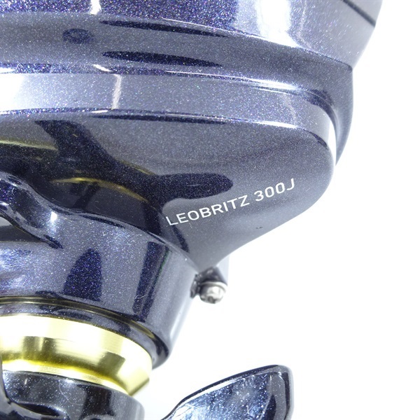 １５レオブリッツ３００Ｊ